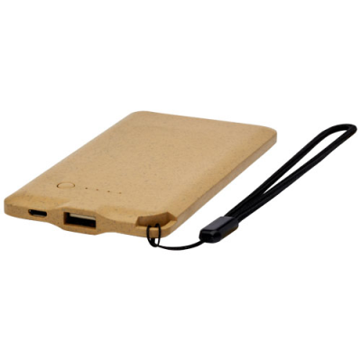 ECO 4000 MAH POWER BANK