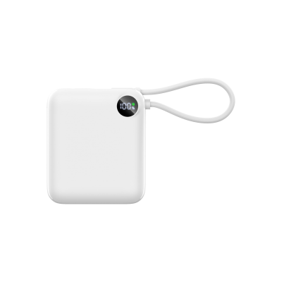 P103 €“ 10,000MAH PD3