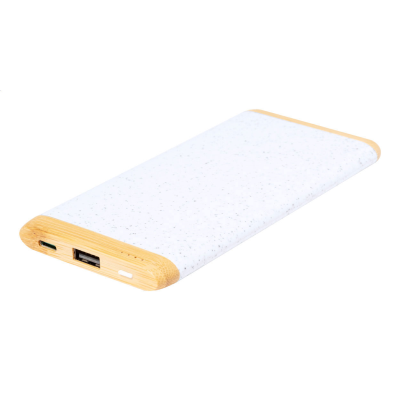 POWER BANK in White