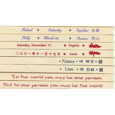 MELAMINE CHOPSTICKS SET