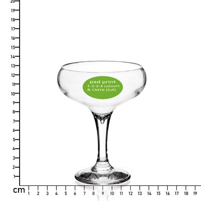 250ML (9OZ) SHATTERPROOF COUPE GLASS
