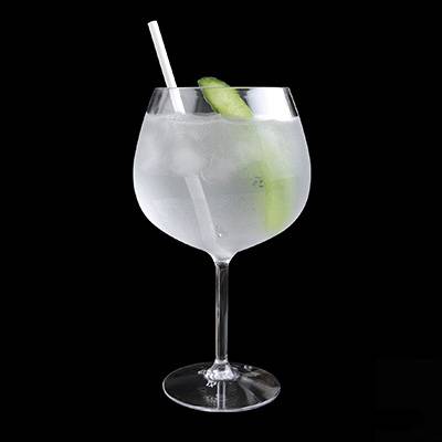 UNBREAKABLE GIN BALLOON GLASS