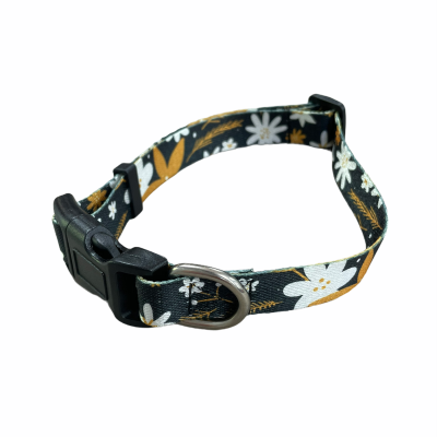 RECYCLED PET DOG COLLAR