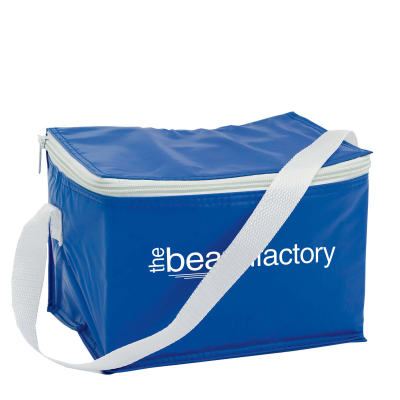 PVC 6 CAN COOL BAG