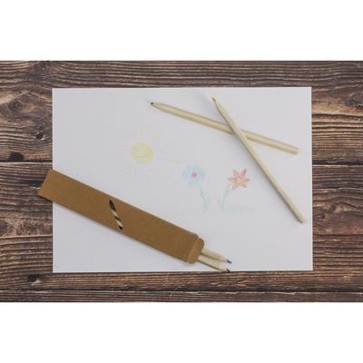 CRAYON SET NATURE 4 LONG