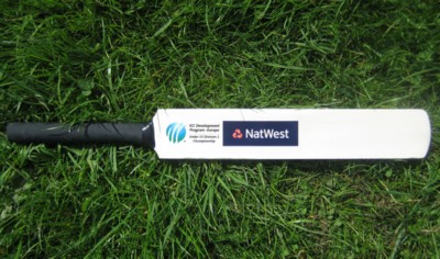 17 INCH MINI WOOD CRICKET BAT