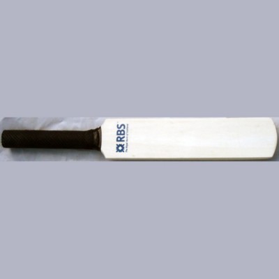 CHILDRENS CRICKET BAT