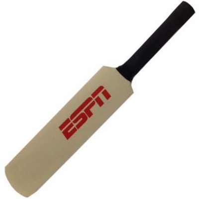 SIGNATURE CRICKET BAT
