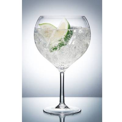 UNBREAKABLE COPA GIN GLASS