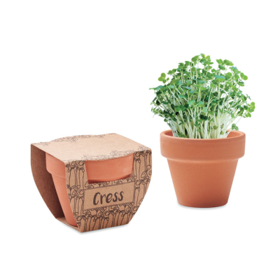 TERRACOTTA POT CRESS SEEDS in Brown