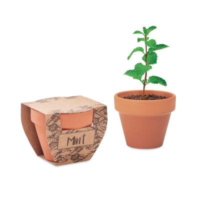 TERRACOTTA POT MINTS SEEDS in Brown