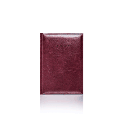 COLOMBIA A5 DAILY DIARY