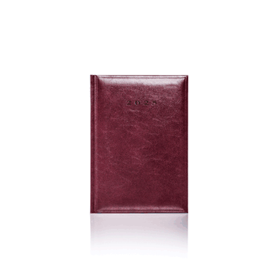 COLOMBIA A5 DAILY DIARY