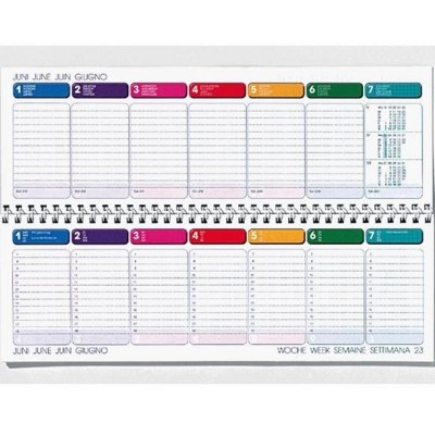 DATALINE DESK PLANNING DIARY
