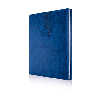 TUCSON A4 DAILY MULTI-APPOINTMENTS DIARY