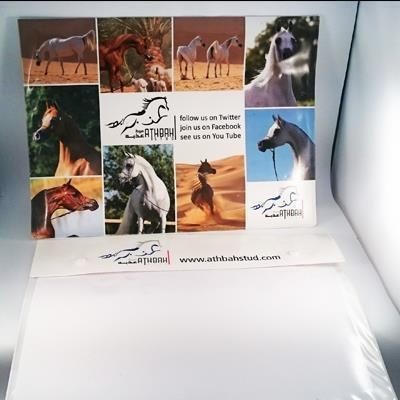 FULL COLOUR DIGITAL PRINTED PVC A4 DOCUMENT WALLET