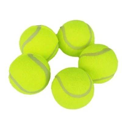 PET TRAINING TENNIS