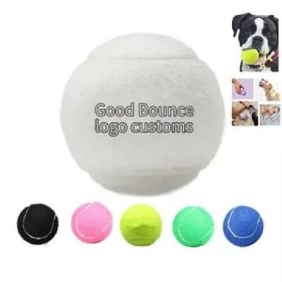 PET TRAINING TOY TENNIS BALL