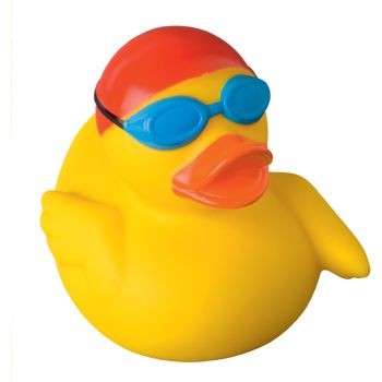SWIMMER DUCK