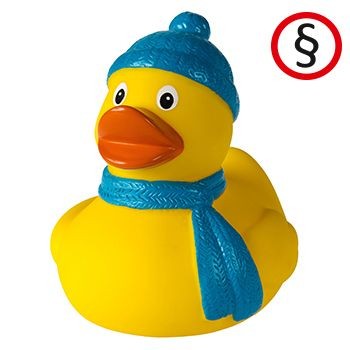 WINTER DUCK