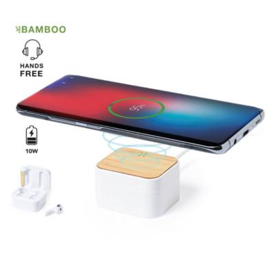 CHARGER EARPHONES BILLINS