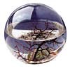 ROUND ECOSPHERE