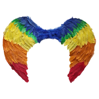 PRIDE RAINBOW FEATHER WINGS