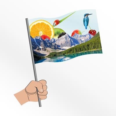 LARGE FABRIC HAND WAVING FLAG
