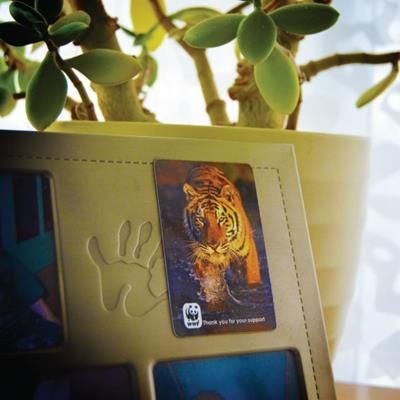 CREDIT CARD FRIDGE MAGNET