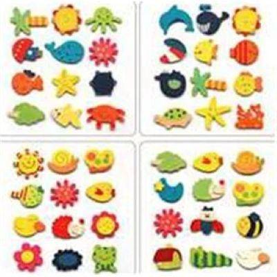 EDUCATIONAL FRIDGE MAGNET