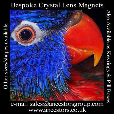 SQUARE FLEXIBLE MAGNET