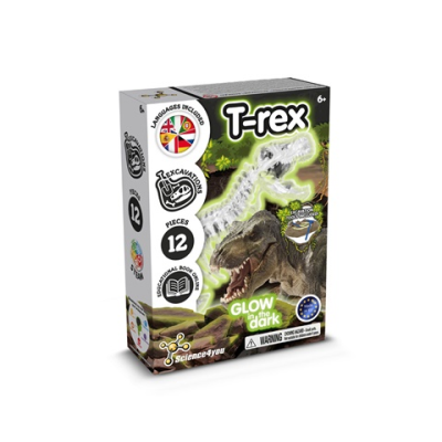 FOSSIL EXCAVATION KIT I EDUCATIONAL GAME FOR CHILDRENS