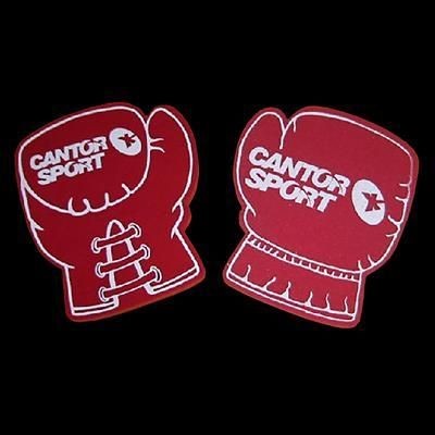 BOXING GLOVES FOAM HAND