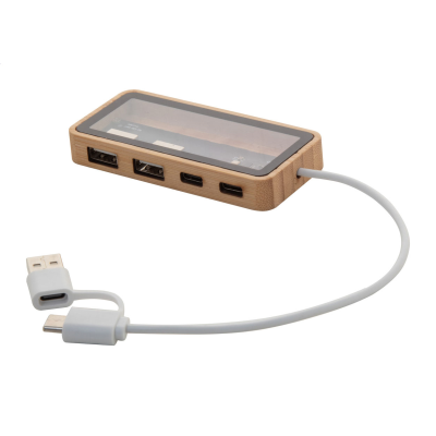 CLEAR TRANSPARENT USB HUB in Natural