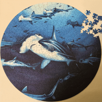 400 PIECE CUSTOM MADE JIGSAW PUZZLE