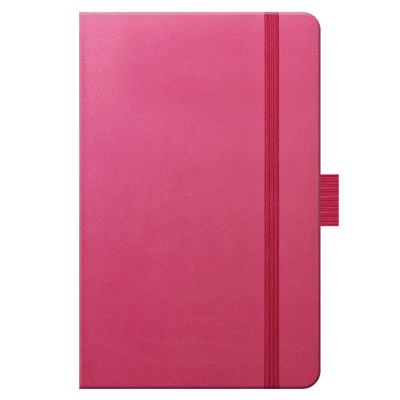 TUCSON POCKET RULED NOTE BOOK