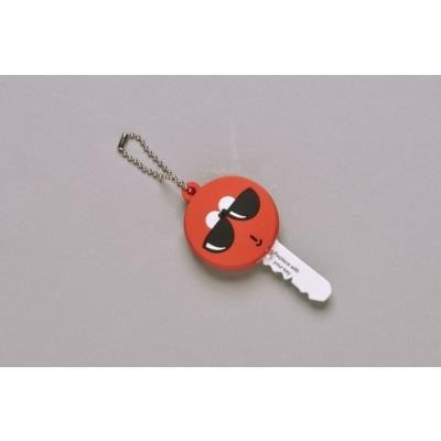 2D PVC KEY COVER