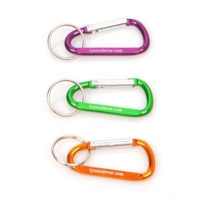 ALUMINIUM CARABINER with Keyring