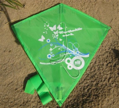 MINI LOGO KITE