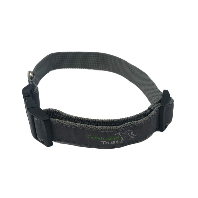 WOVEN APPLIQUE DOG COLLAR