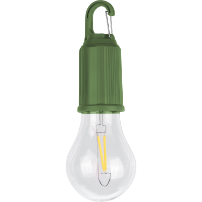 CHARGEABLE LIGHTBULB in Green