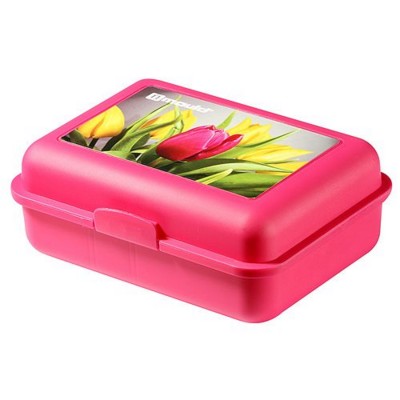 IMOULD BRANDED PLASTIC SCHOOL LUNCH STORAGE BOX with Divider