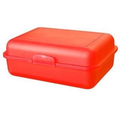 LUNCH BOX SCHOOL BOX LARGE with Separating Bowl