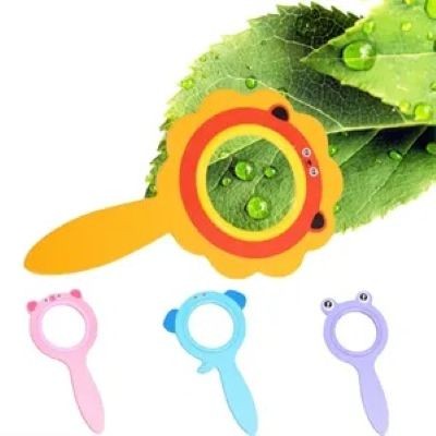 CARTON HANDHELD MAGNIFIER