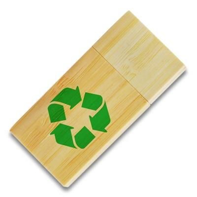 ECO BAMBOO USB
