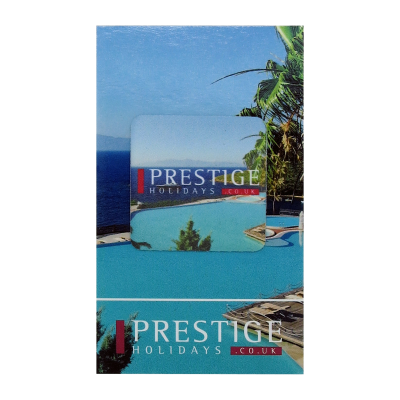 STICKY SCREEN CLEANERS