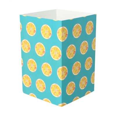 PAPER SLEEVE in White