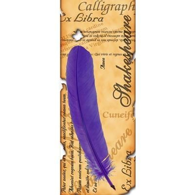 GENUINE TURKEY FEATHER PEN