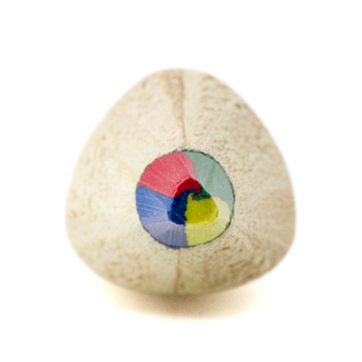 MULTI COLOUR LEAD PENCIL in Brown