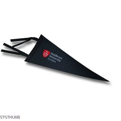 UNIVERSITY PENNANT